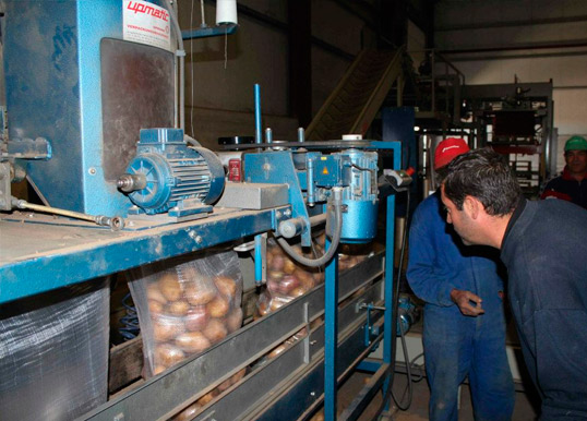Patatas Poli persona revisando funcionamiento de maquinaria
